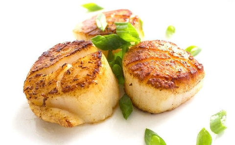 Sea Scallops