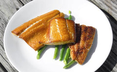 Light-Eating Protein Fish